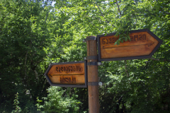 IMG_2007
