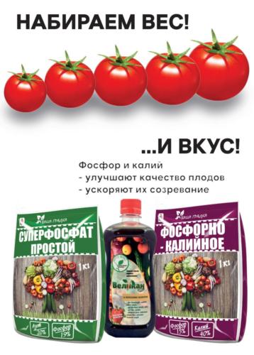 Июнь июЛь РК Рдв