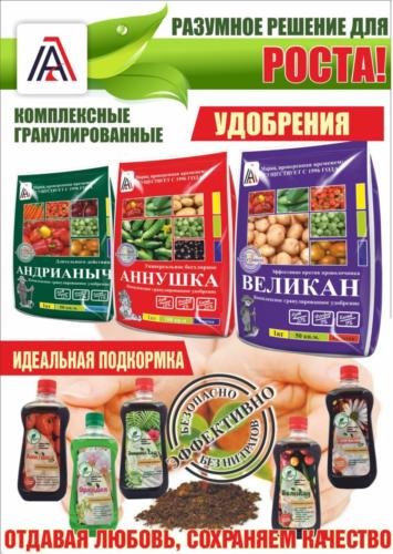 Плакат Разумное решение