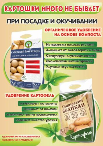 Плакаты Картофель