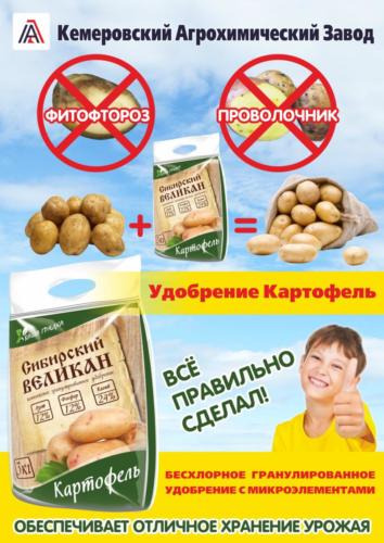 Сибирский великан
