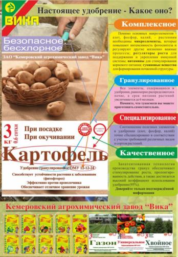 Великан